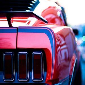 Meet your Posher, Brady